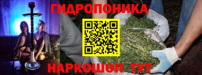 спиды Свободный